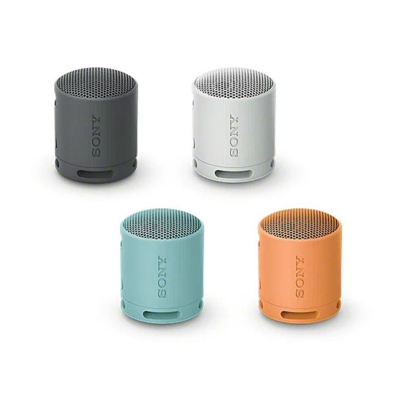 Sony SRS-XB100 Extra BASS Portable Wireless Bluetooth Speaker