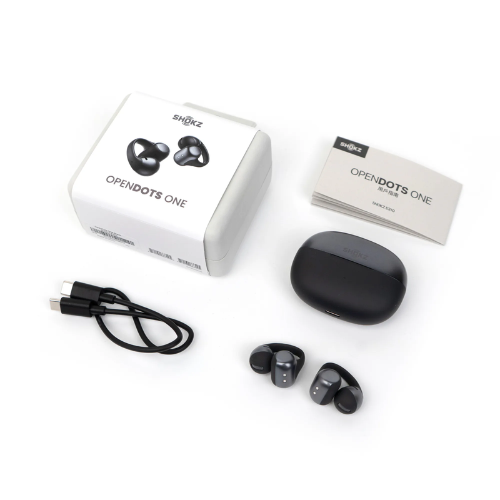Shokz OpenDots ONE E310 Dolby Audio Open Bluetooth Earphones