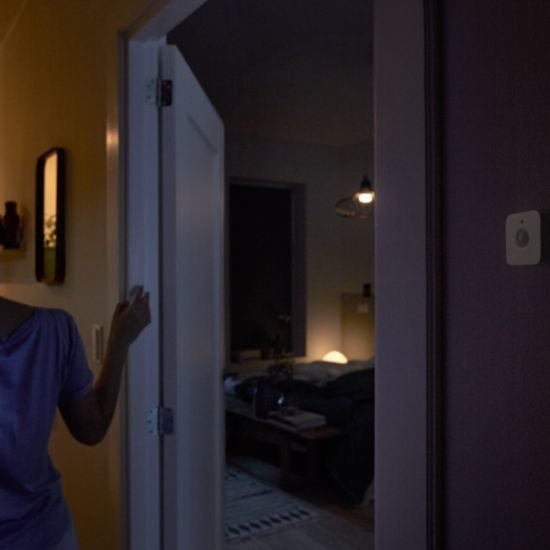Philips Hue Motion Sensor【Parallel Import】