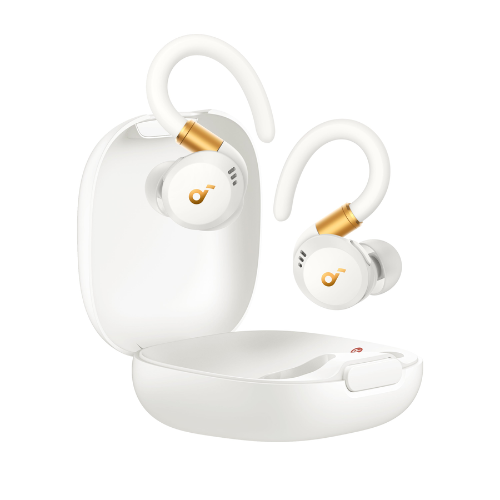 Anker Soundcore Sport X20 In-Ear with Hook True Wireless Sport Bluetooth Earbuds