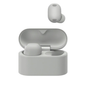 Sony WF-1000XM6 Wireless Noise Cancelling In-Ear Earbuds【Parallel Import】