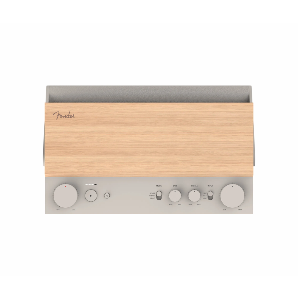 Fender ELIE 12 Multi-functional Bluetooth Speaker