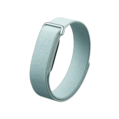 Google Fitbit Air Activity Tracker【Parallel Import】