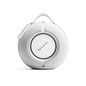 Devialet Mania portable smart speaker