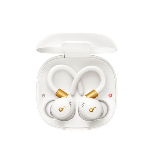 Anker Soundcore Sport X20 In-Ear with Hook True Wireless Sport Bluetooth Earbuds