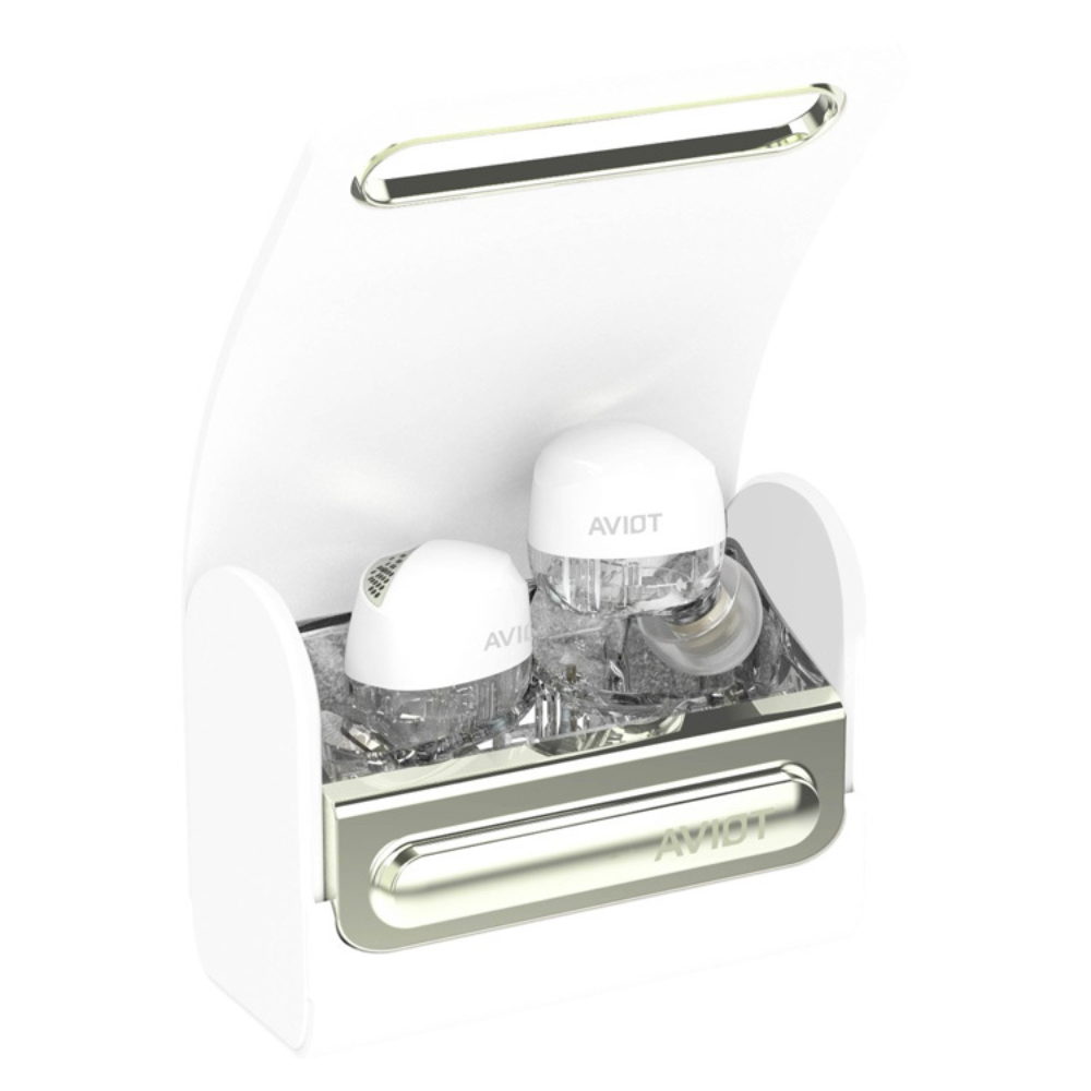AVIOT TE-J2 "Dynamic Driver + Piezoelectric" Dual Driver True Wireless Bluetooth Earbuds