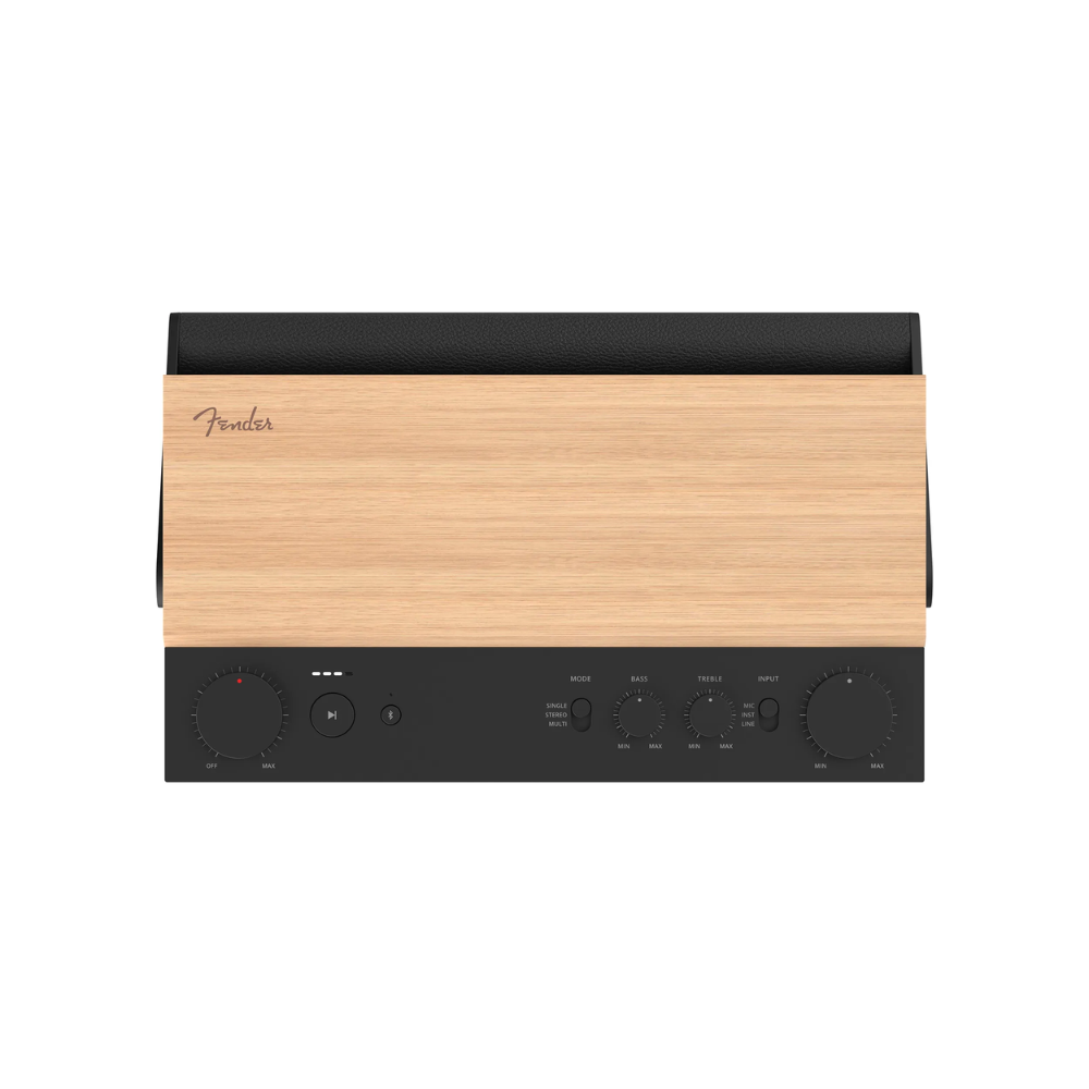 Fender ELIE 12 Multi-functional Bluetooth Speaker